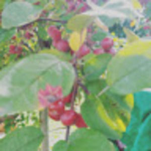 Meet your Posher, Marc